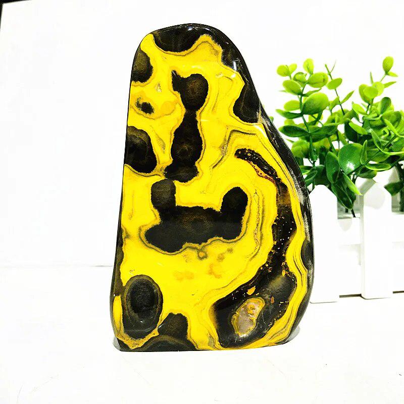 Bumblebee Jasper Freeform