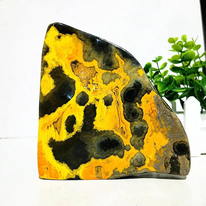 Bumblebee Jasper Freeform