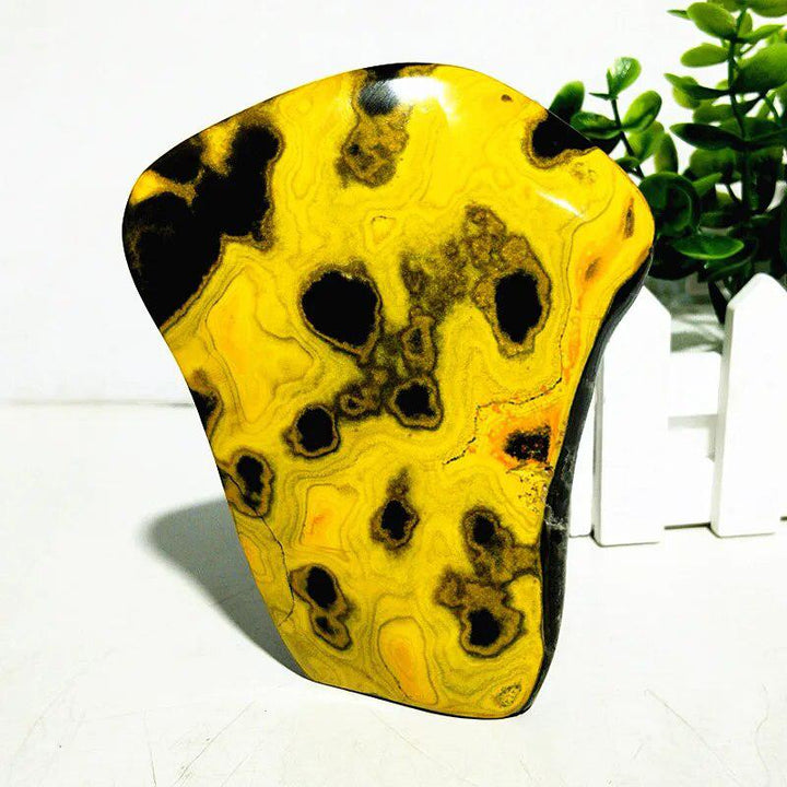 Bumblebee Jasper Freeform