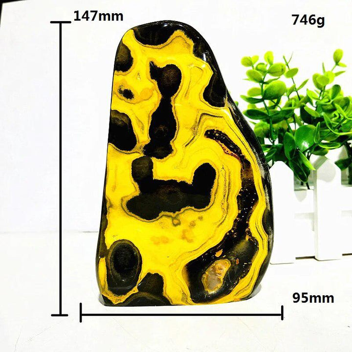 Bumblebee Jasper Freeform