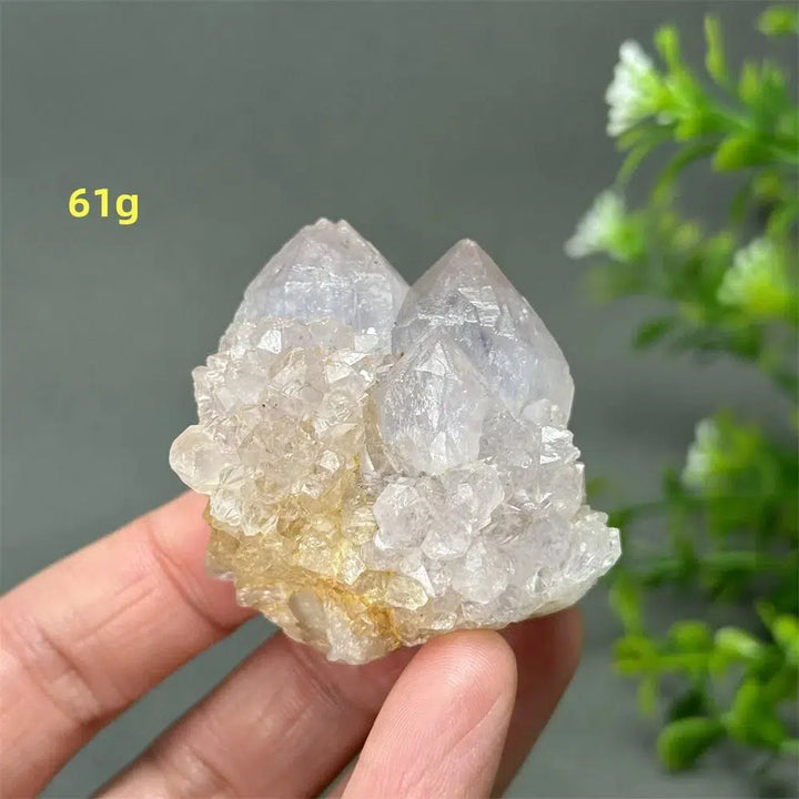 Cactus Quartz Cluster