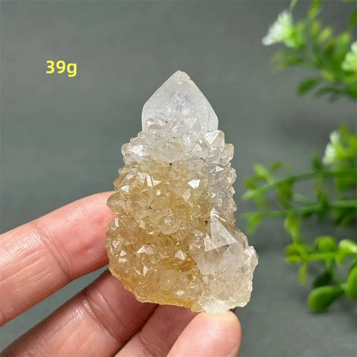 Cactus Quartz Cluster