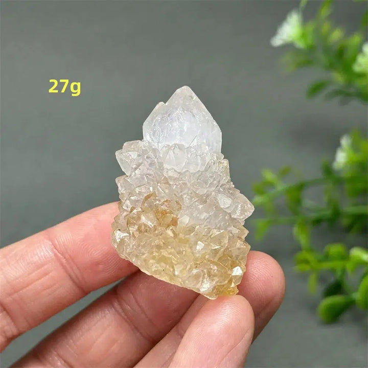 Cactus Quartz Cluster