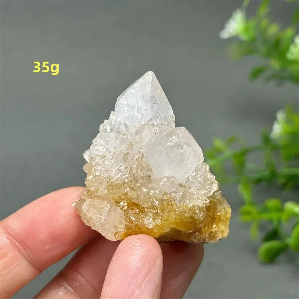 Cactus Quartz Cluster