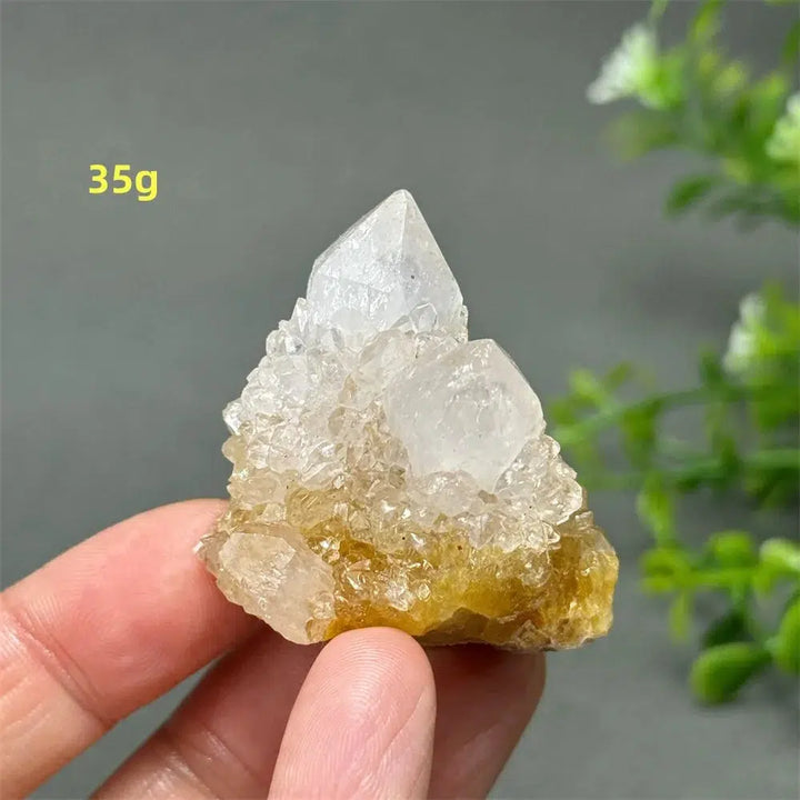 Cactus Quartz Cluster