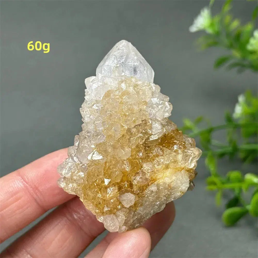 Cactus Quartz Cluster