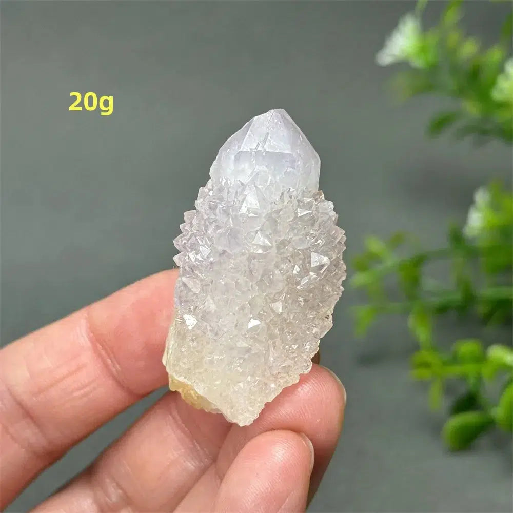 Cactus Quartz Cluster