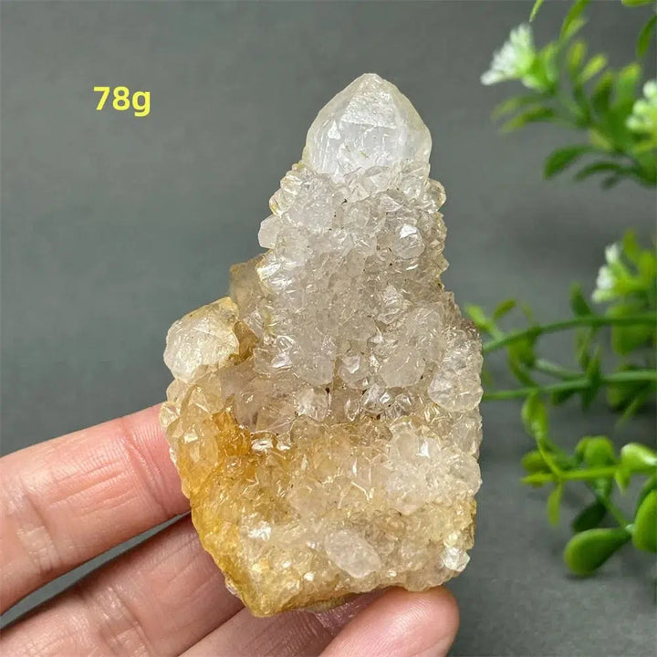 Cactus Quartz Cluster