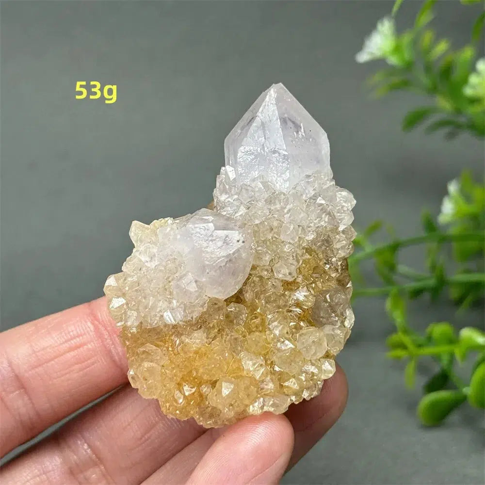 Cactus Quartz Cluster