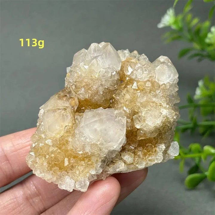 Cactus Quartz Cluster