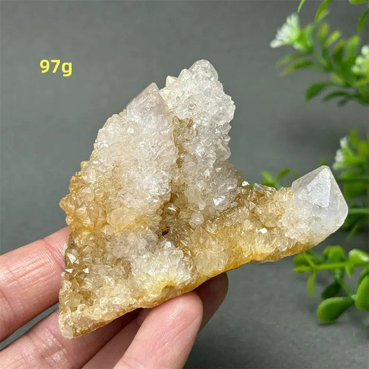 Cactus Quartz Cluster