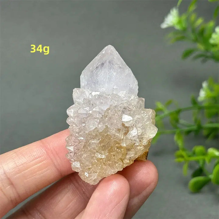 Cactus Quartz Cluster