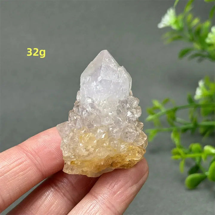 Cactus Quartz Cluster