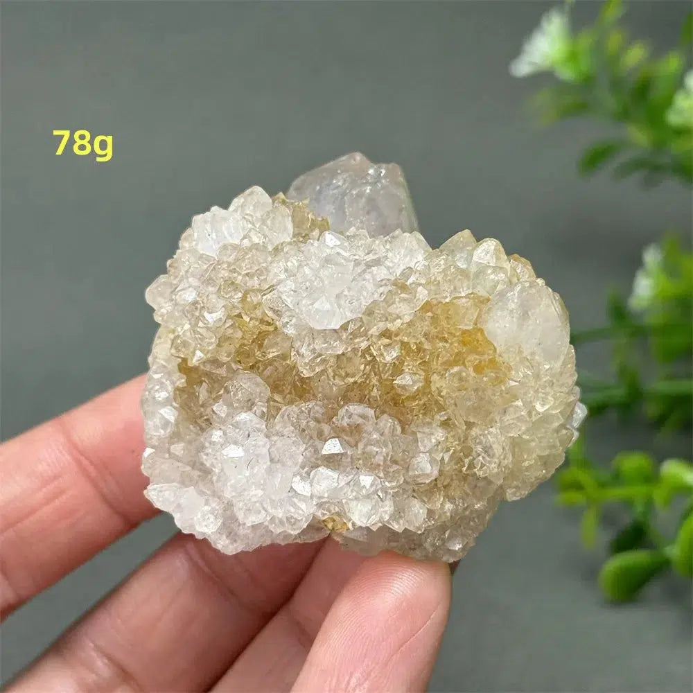 Cactus Quartz Cluster