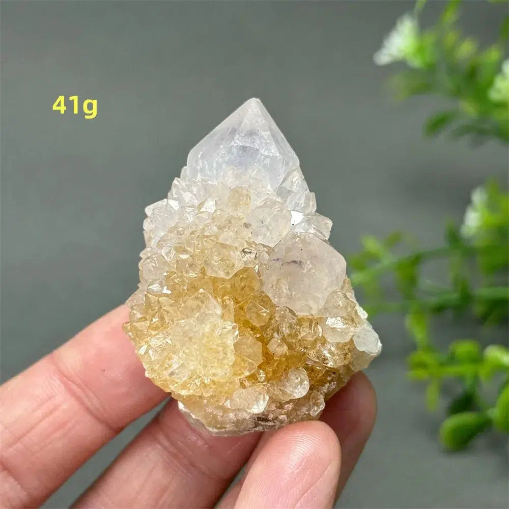 Cactus Quartz Cluster