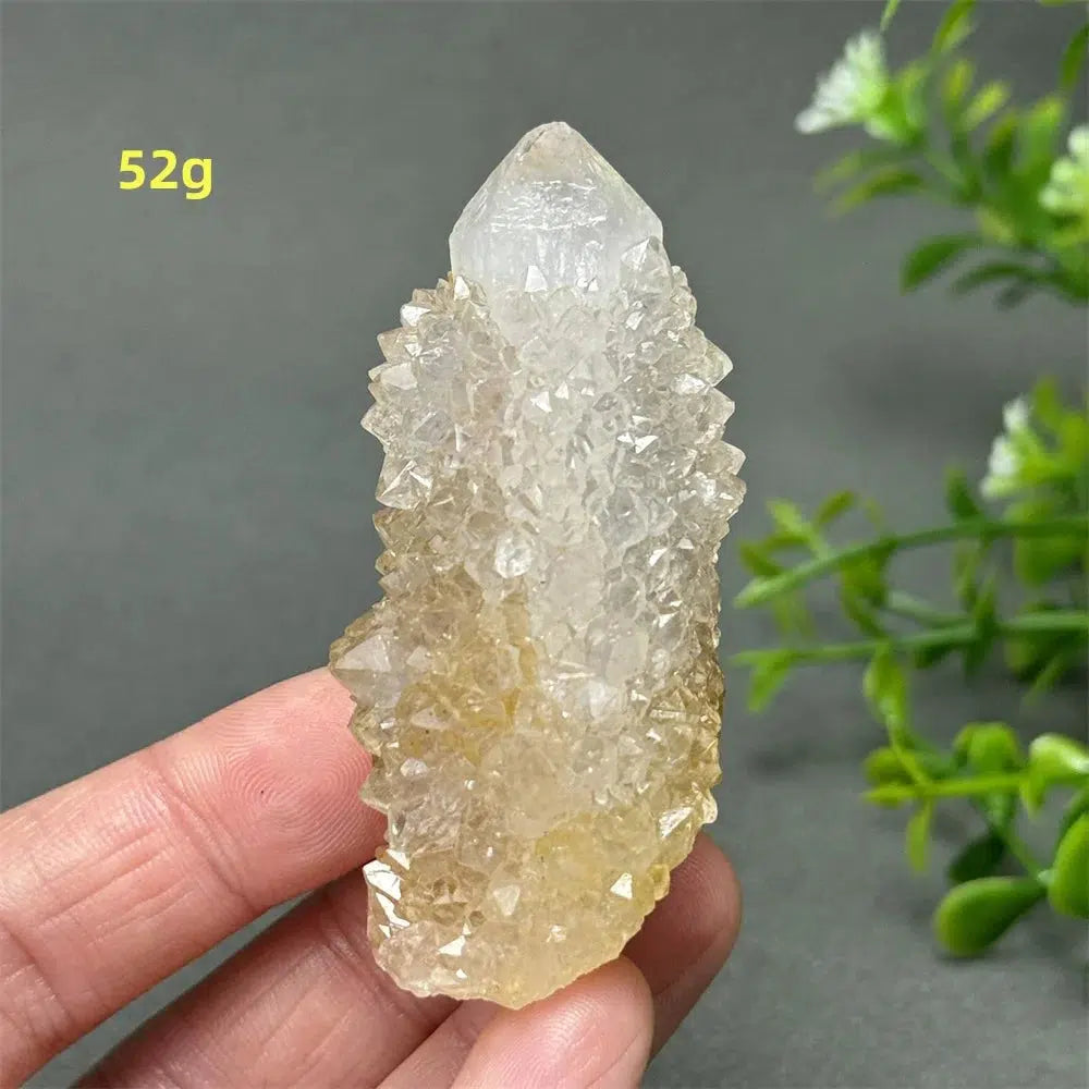 Cactus Quartz Cluster