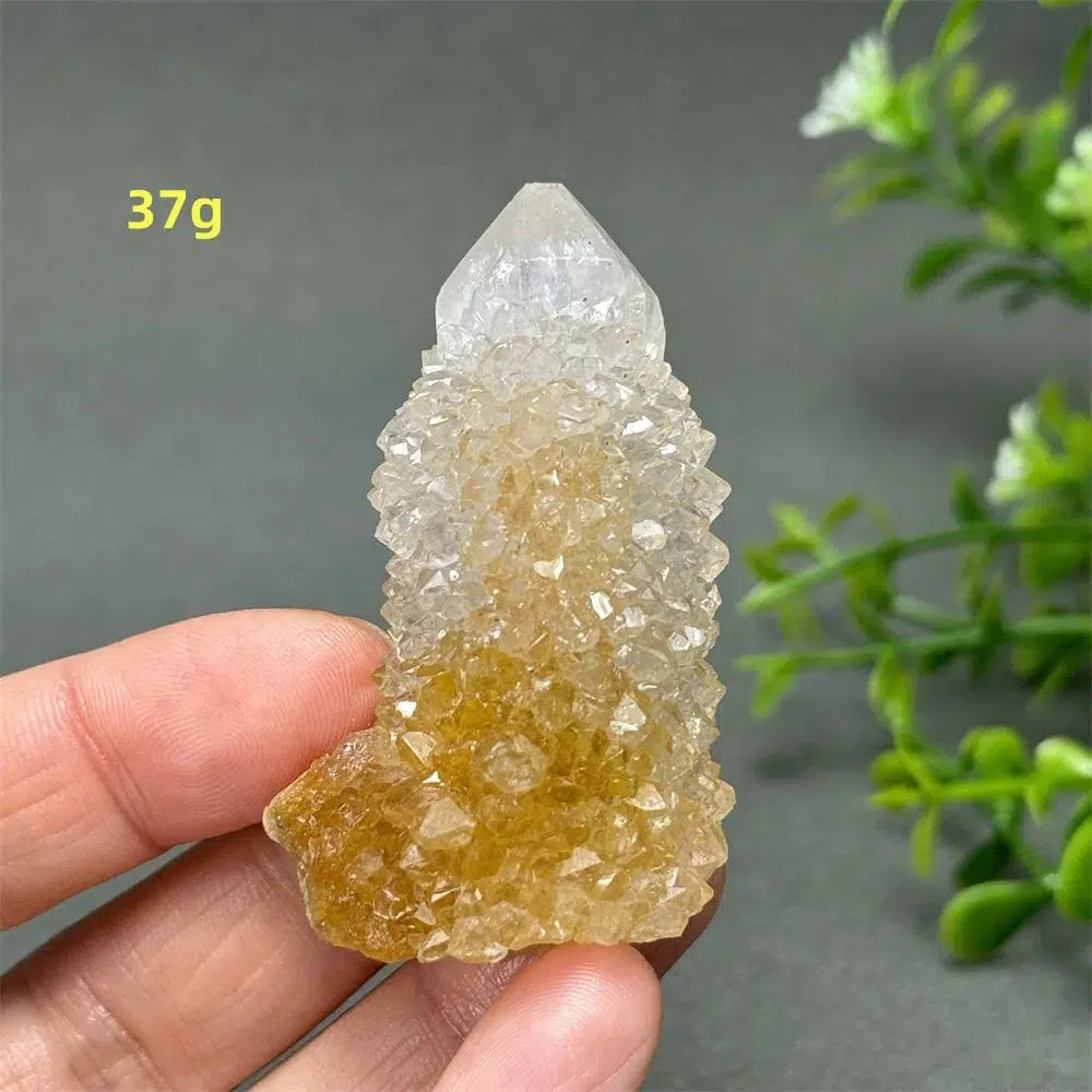 Cactus Quartz Cluster