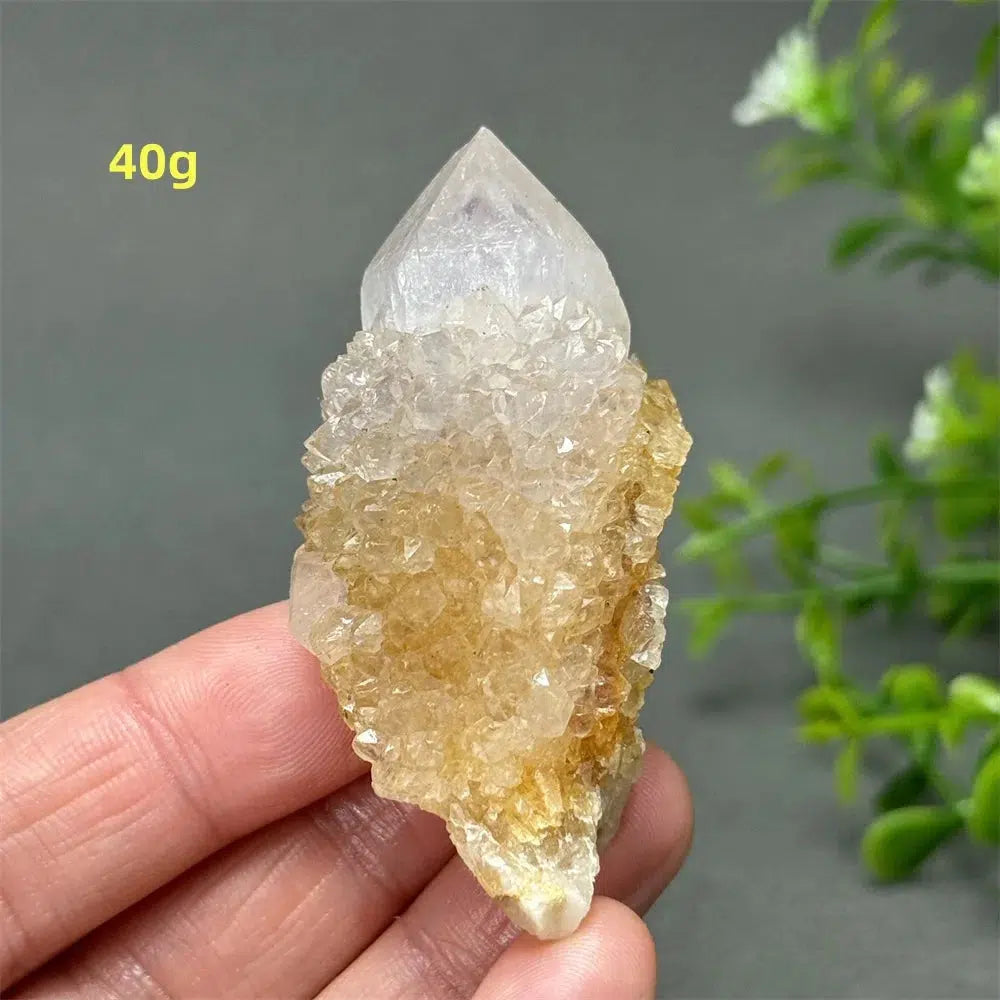 Cactus Quartz Cluster