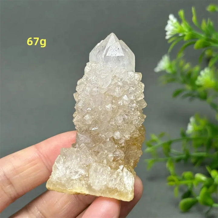 Cactus Quartz Cluster