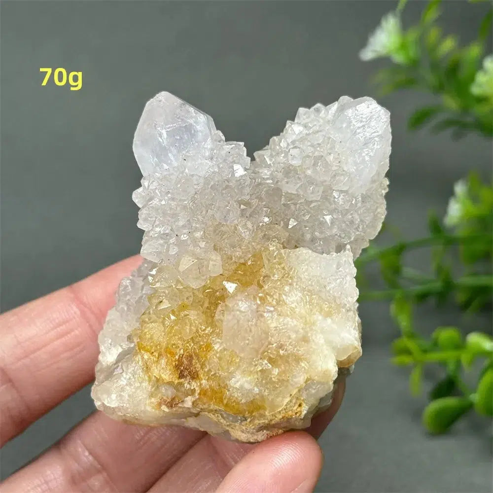 Cactus Quartz Cluster