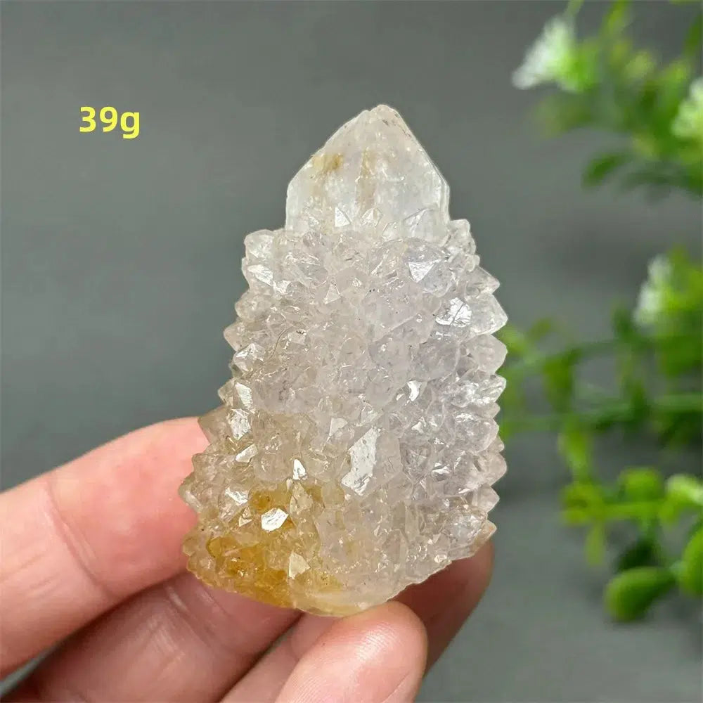 Cactus Quartz Cluster