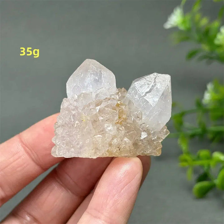 Cactus Quartz Cluster