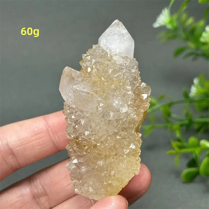 Cactus Quartz Cluster