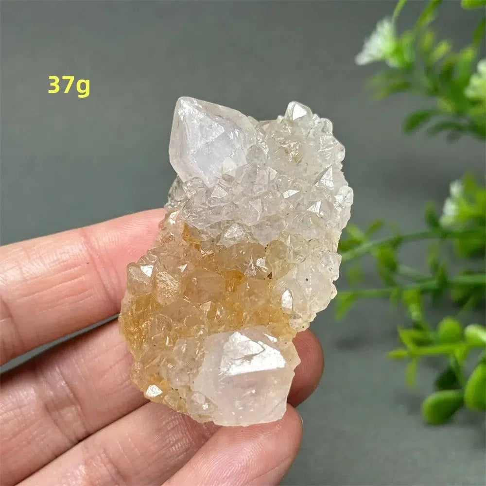 Cactus Quartz Cluster