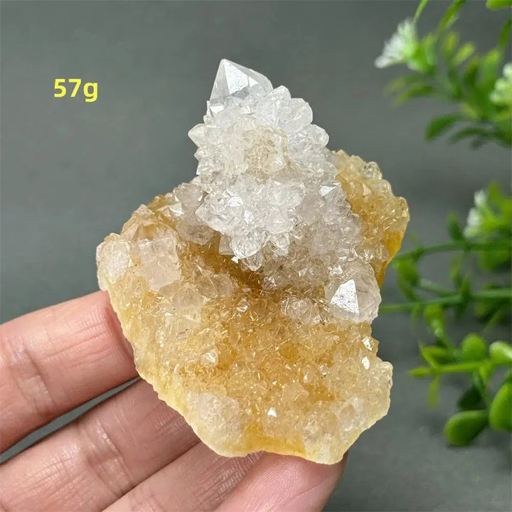 Cactus Quartz Cluster