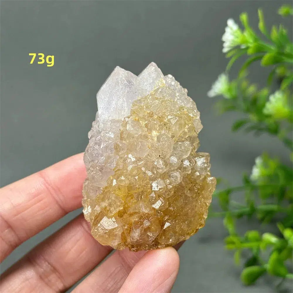 Cactus Quartz Cluster