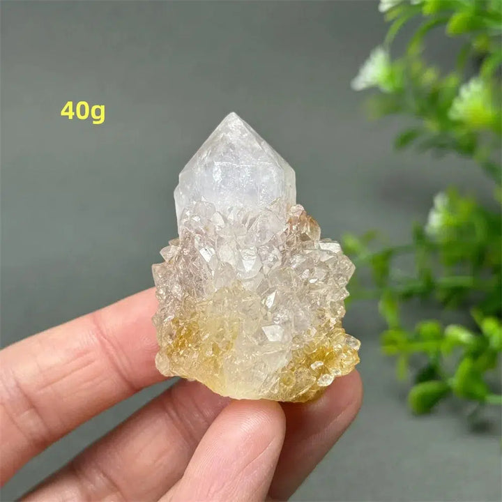 Cactus Quartz Cluster