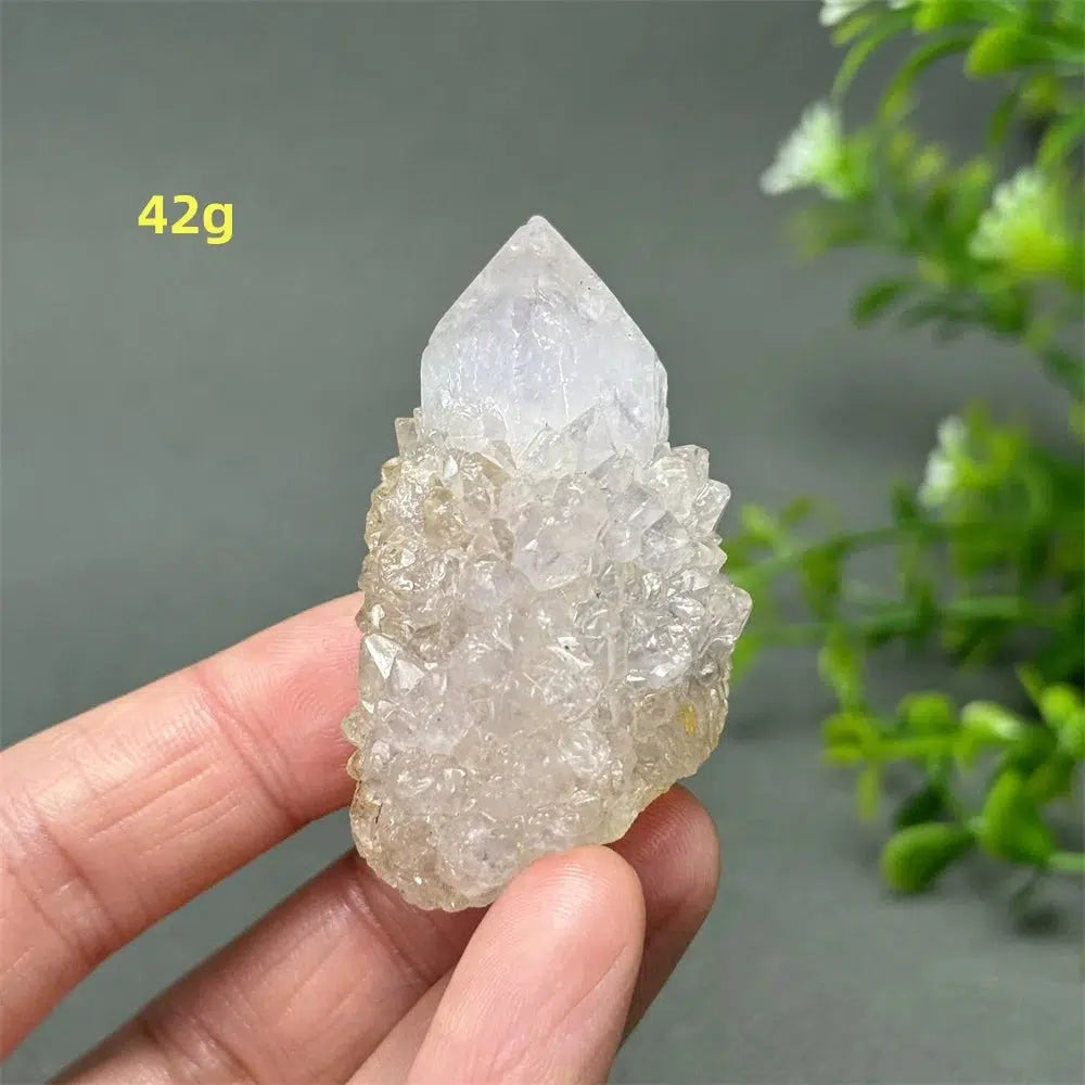 Cactus Quartz Cluster