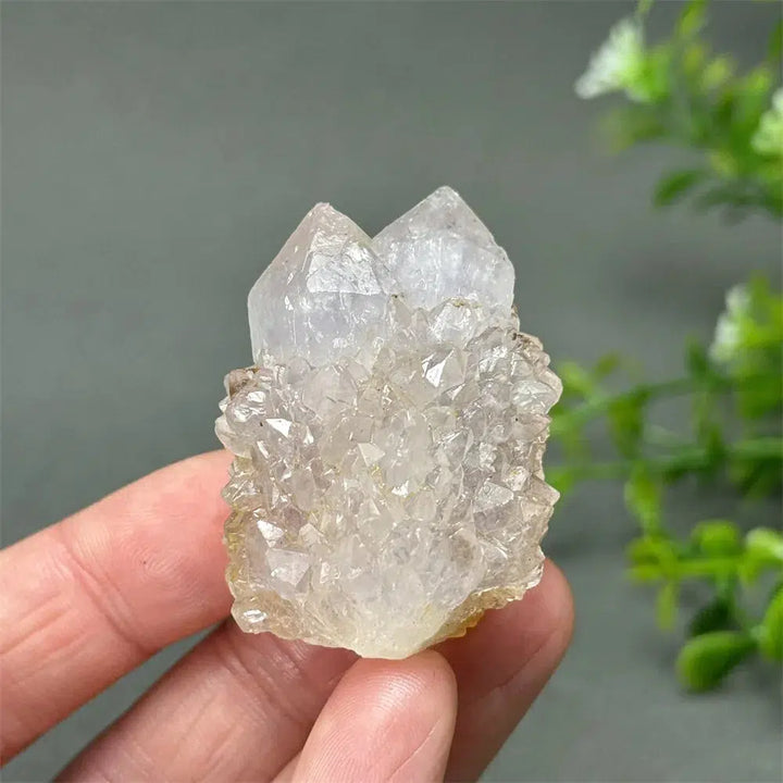 Cactus Quartz Cluster