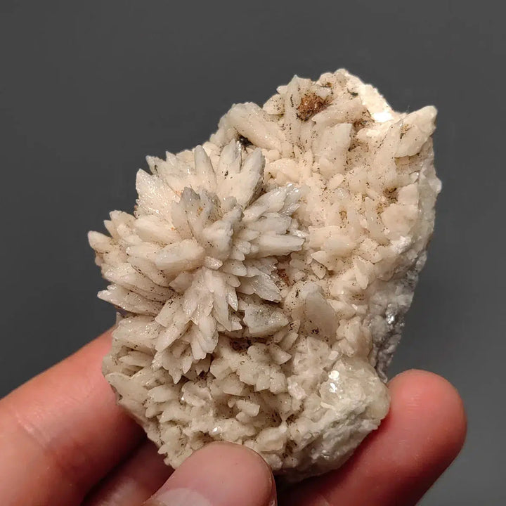 Calcite and Pyrite Mineral Specimen