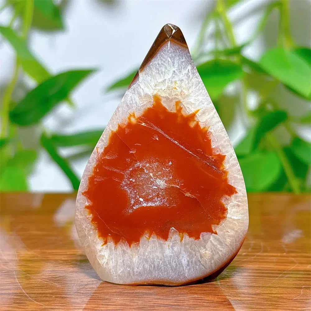 Carnelian Agate Freeform Torch