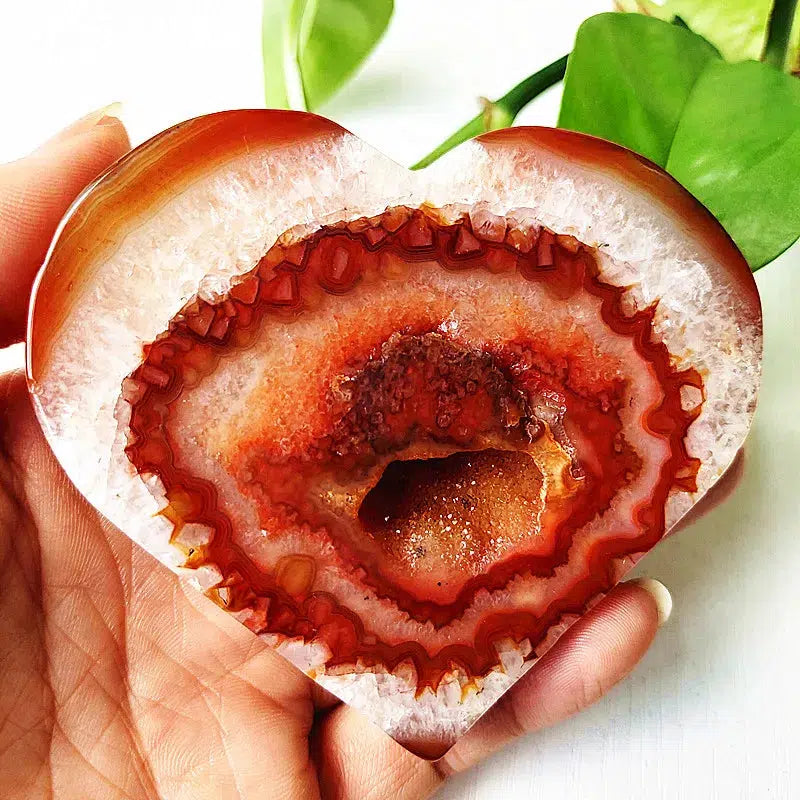 Carnelian Agate Slice Heart