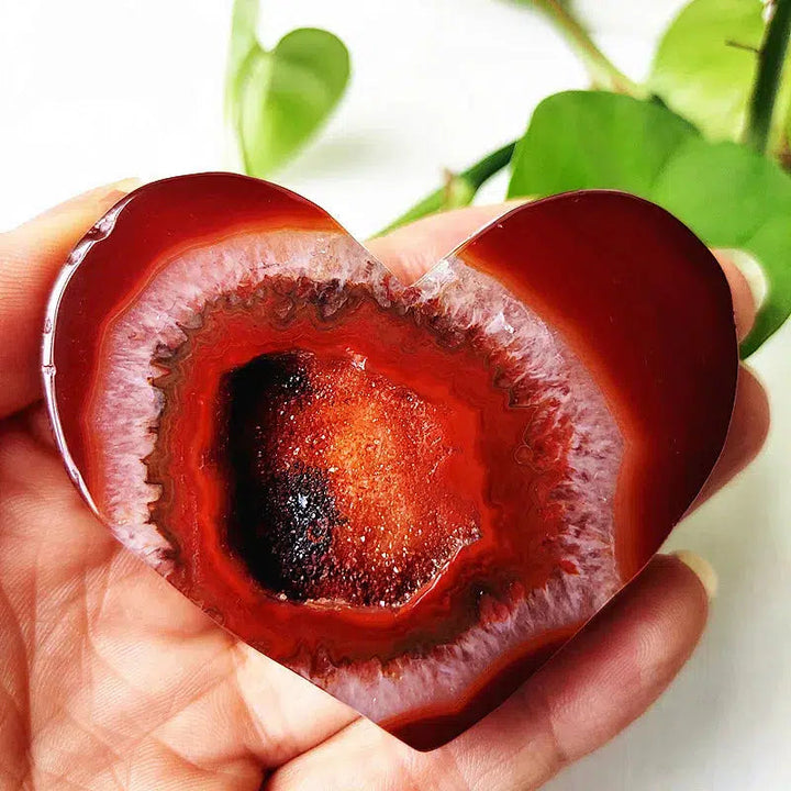 Carnelian Agate Slice Heart