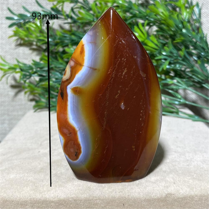 Carnelian Lace Agate Freeform