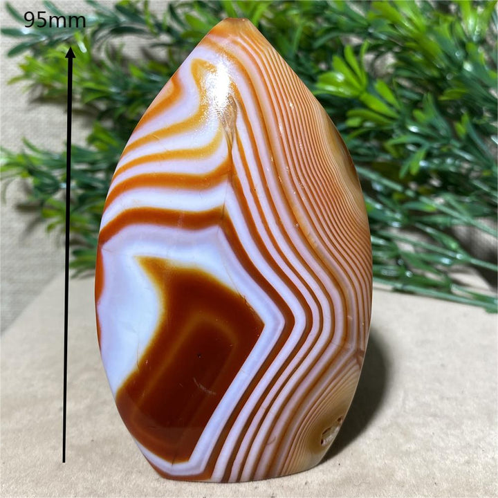 Carnelian Lace Agate Freeform