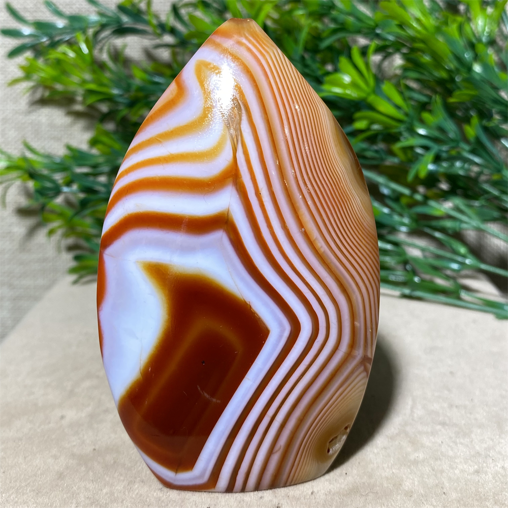 Carnelian Lace Agate Freeform