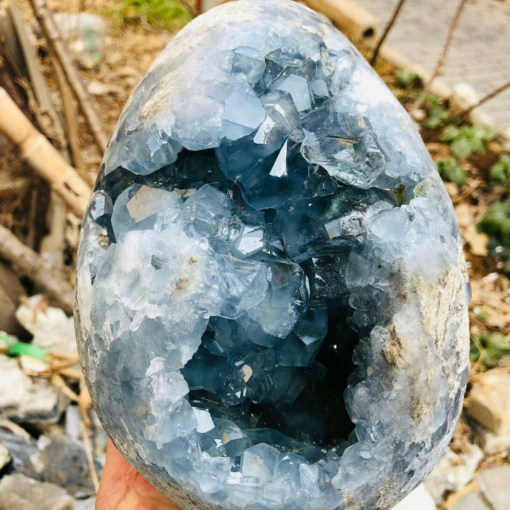 Celestite Crystal Druzy Geode