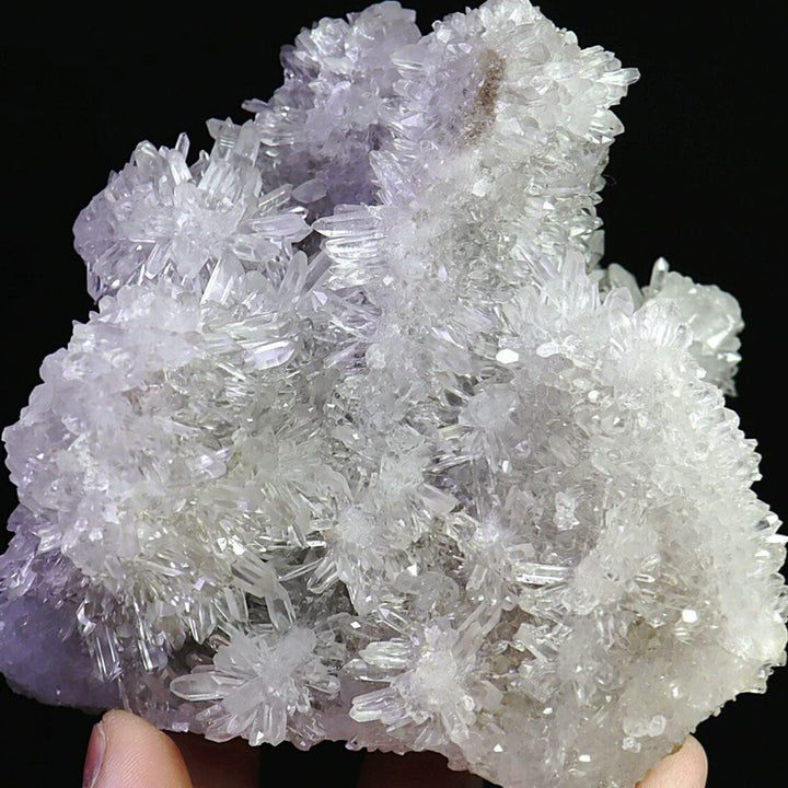 Chrysanthemum Quartz Crystal Cluster