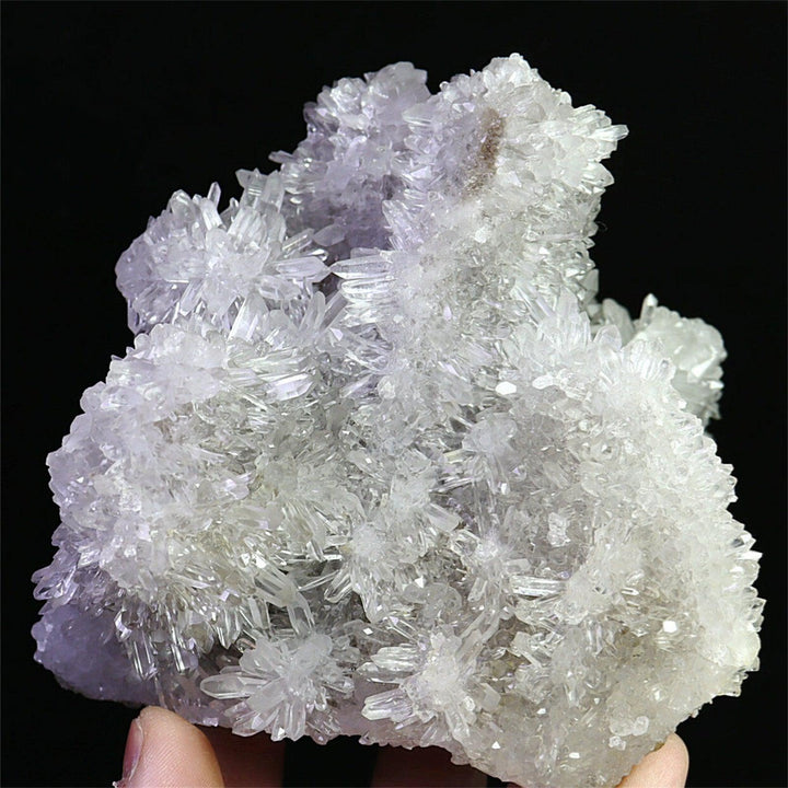 Chrysanthemum Quartz Crystal Cluster