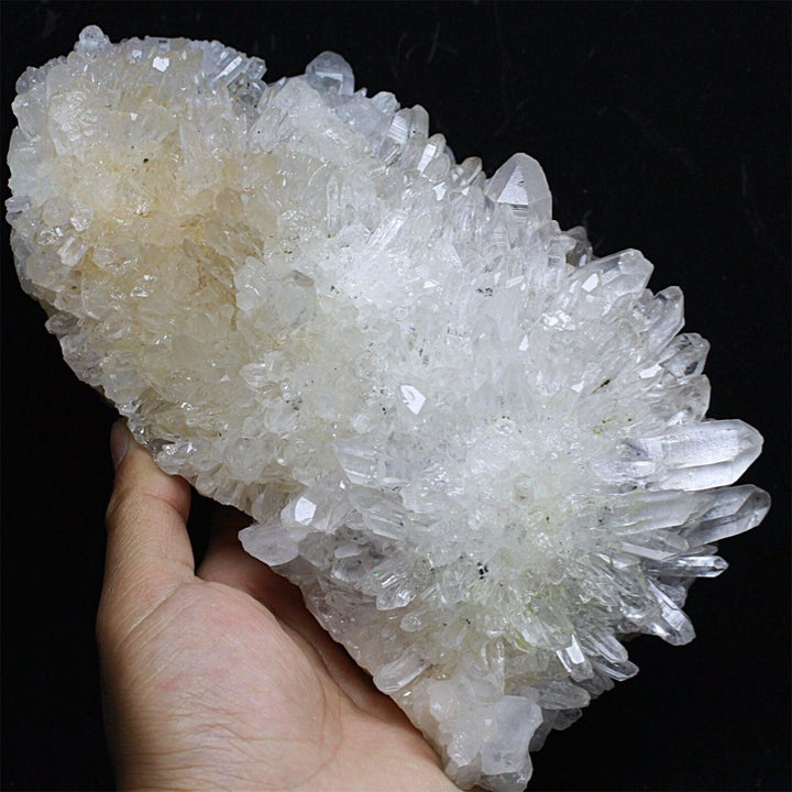 Chrysanthemum Quartz Crystal Cluster