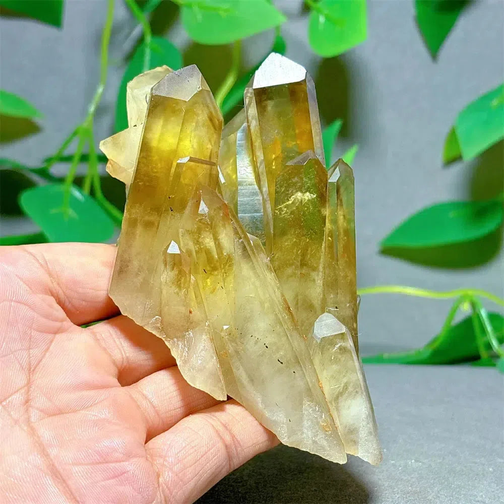 Citrine Crystal Cluster Points