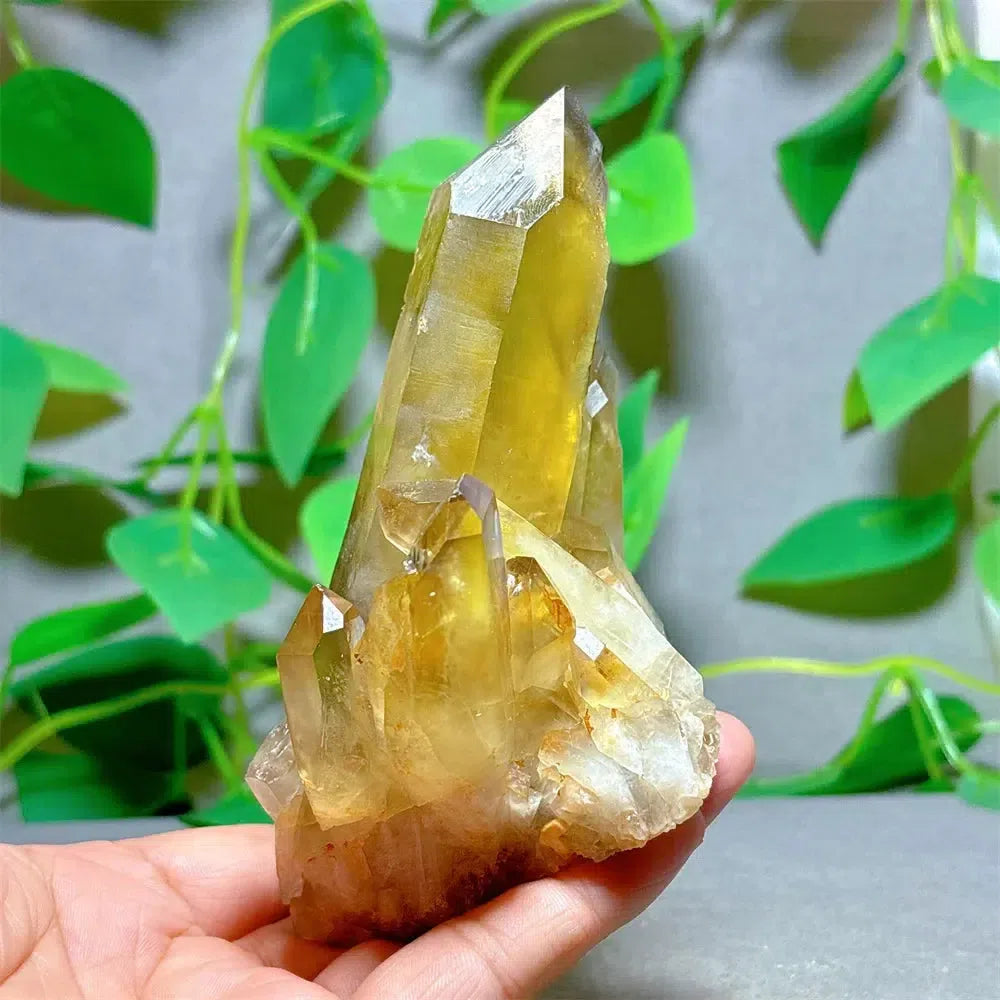 Citrine Crystal Cluster Points