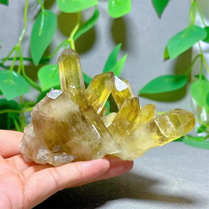 Citrine Crystal Cluster Points