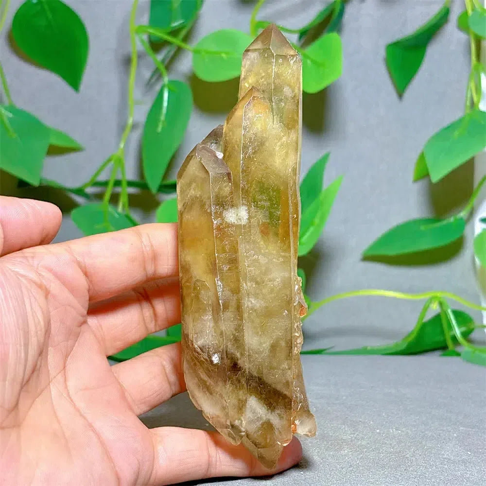 Citrine Crystal Cluster Points