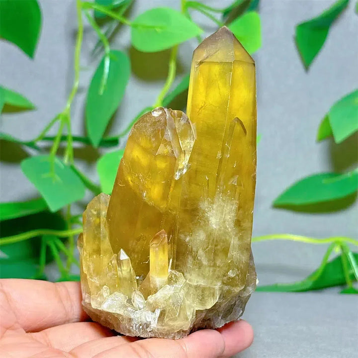 Citrine Crystal Cluster Points