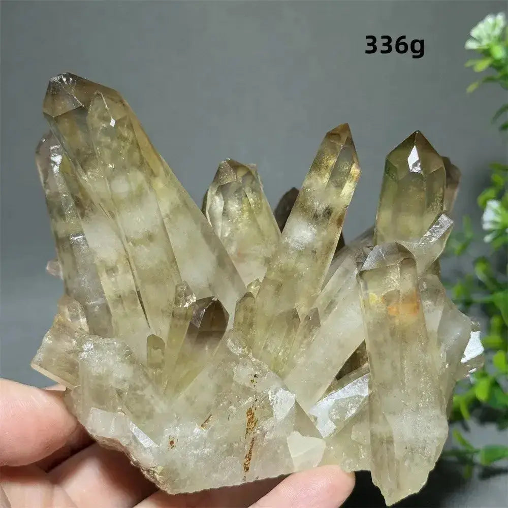 Citrine Crystal Clusters for Home Decor - Uplift Your Space Naturally-Points-Ali-Citrine-D1 336g-Crystal Destiny